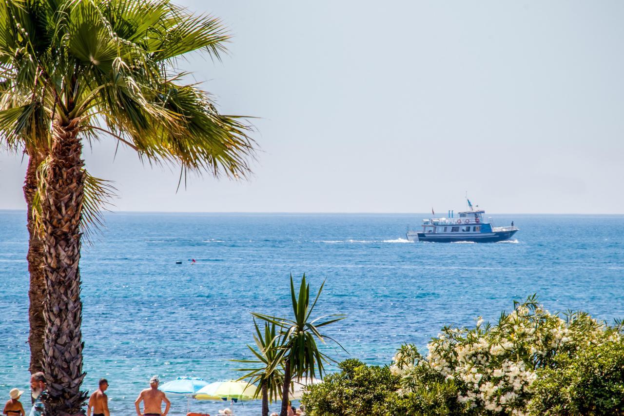 Espanatour Vega Baja تورّيفيِخا المظهر الخارجي الصورة